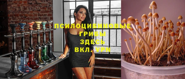 ALPHA-PVP Ахтубинск