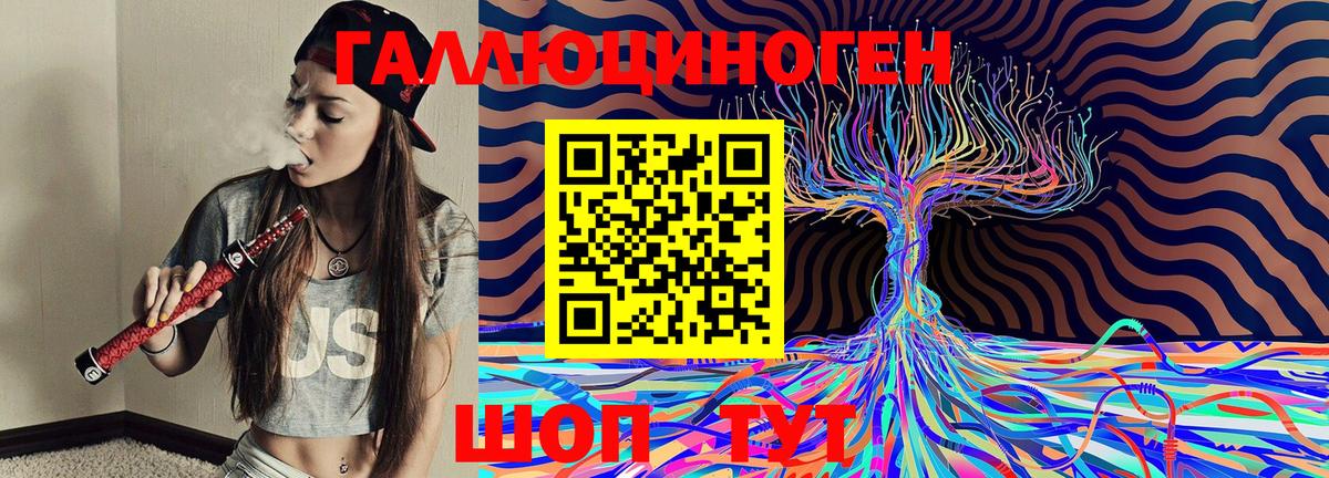 Галлюциногенные грибы Psilocybine cubensis Дятьково