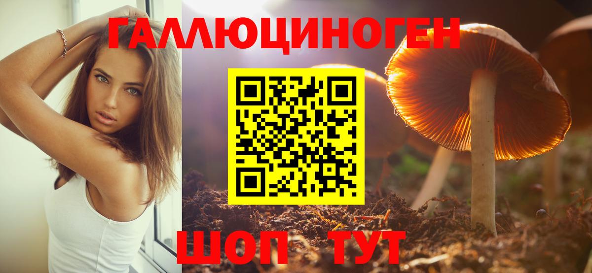 Дятьково  Галлюциногенные грибы ЛСД  наркотики  Вход с VPN 